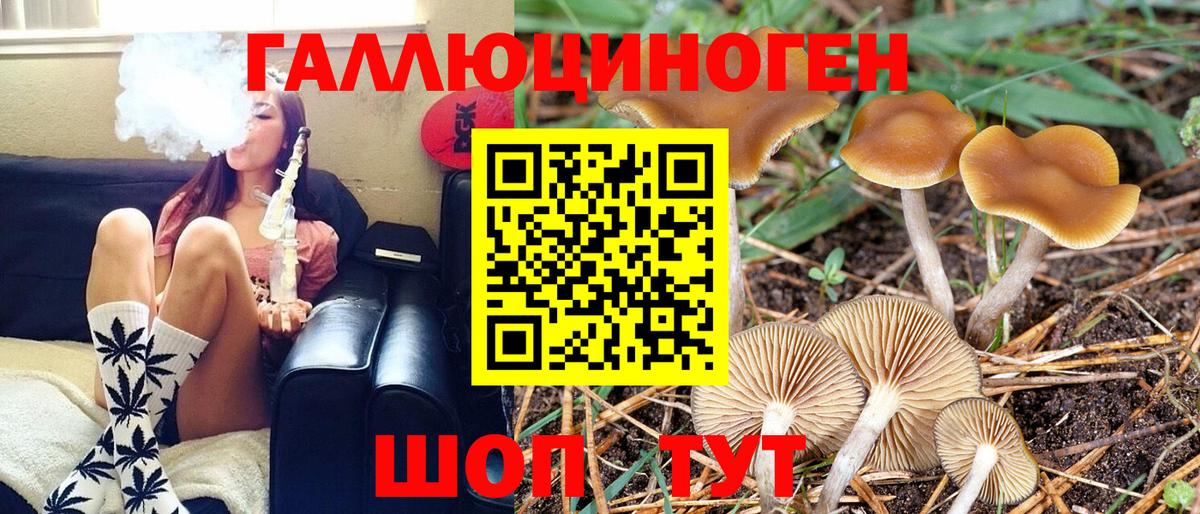 Галлюциногенные грибы мицелий  Галлюциногенные грибы ЛСД  даркнет сайт  Вход с VPN  Рыбинск 